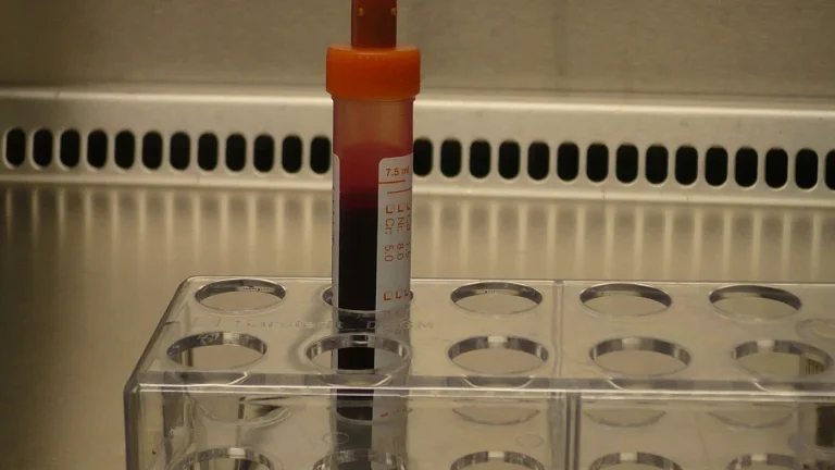 Tube de prélèvement sanguin pour un bilan lipidique